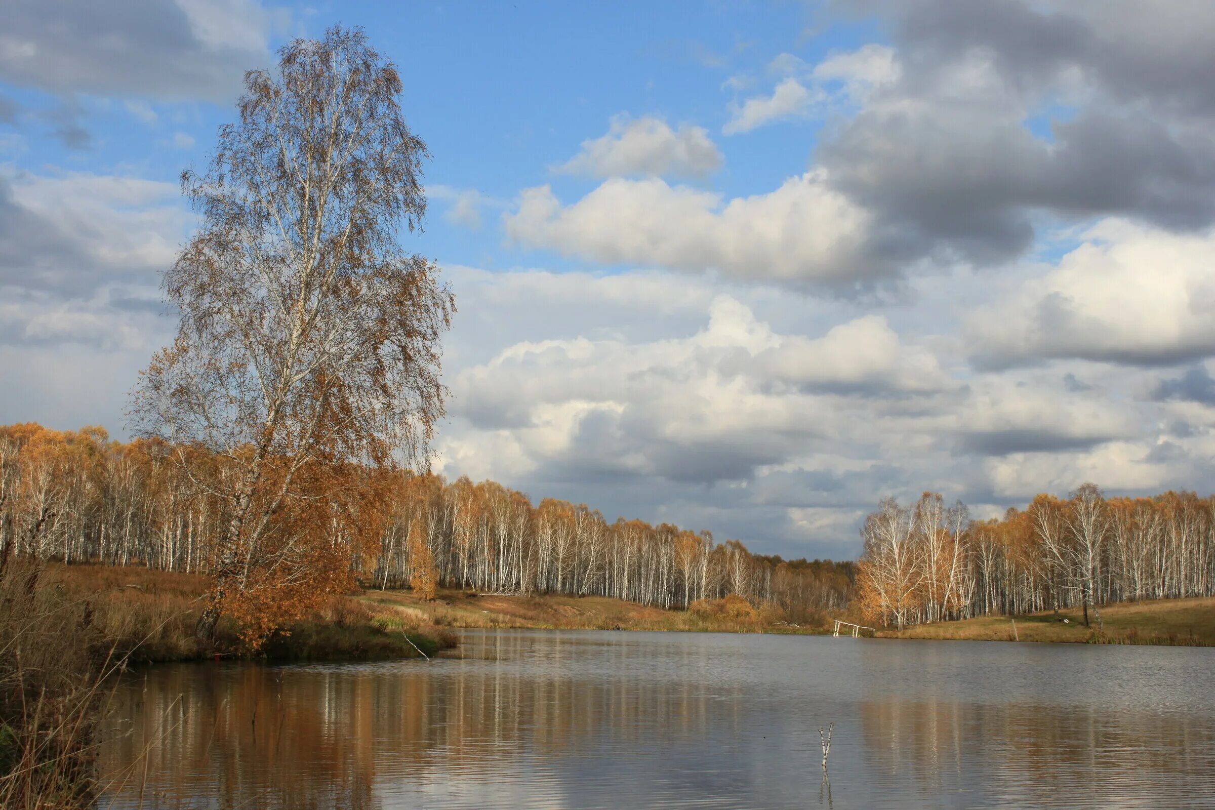озеро глубокое рузский район. озеро глубокое выборгский район золотой пляж. параськины озера ухта. озеро глубокое ленинградская область пляж золотой. глубокое озеро лебяжье.