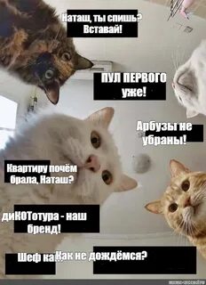 Возьмите наташу
