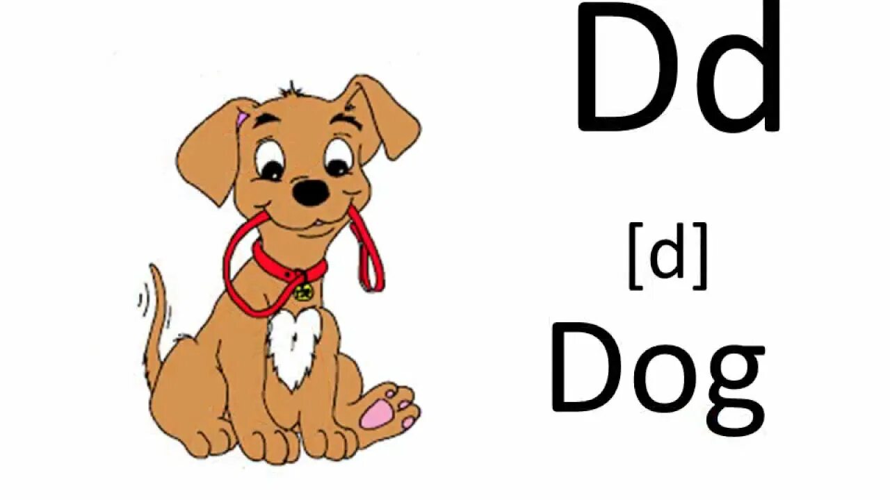 Собака транскрипция. Dog картинка с транскрипцией. Транскрипция слова собака. Как пишется английским алфавите собака. Транскрипция слова слон