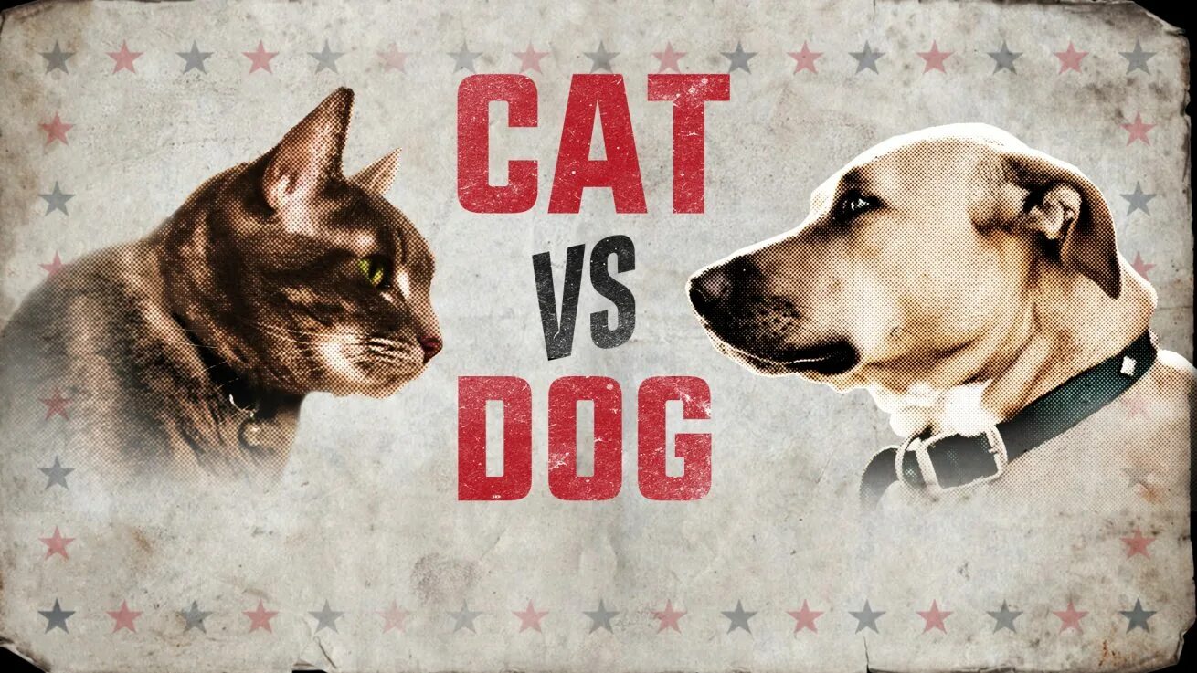 Переведи cat dog. Кошка vs собака. Dog против Cat. Кошки и собаки Противостояние. Кошки против собак картинки.