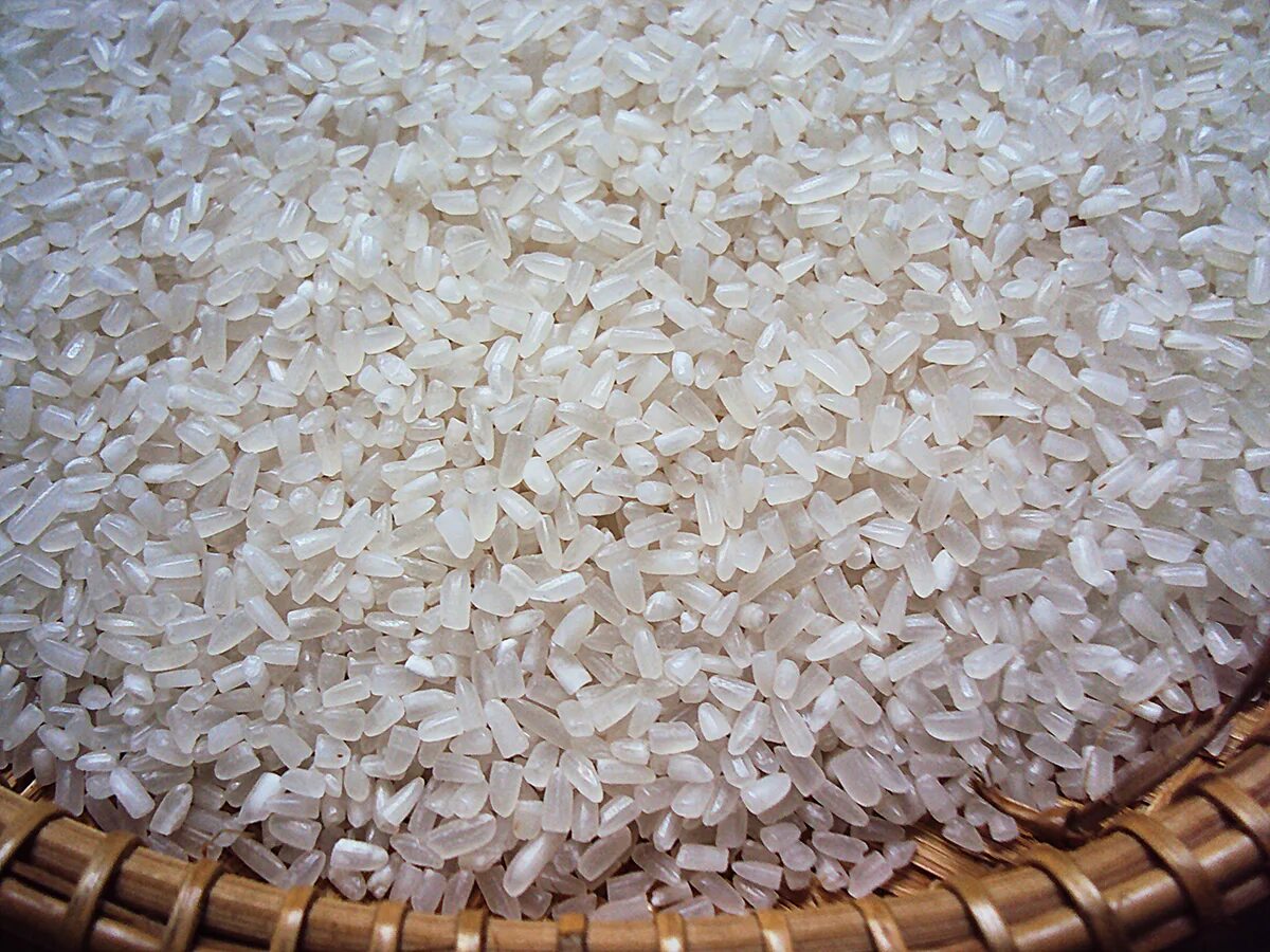 Рис дробленый купить. Рис дробленый шлифованный. Рис сечка. Крупа сечка рисовая. Лущеный рис.