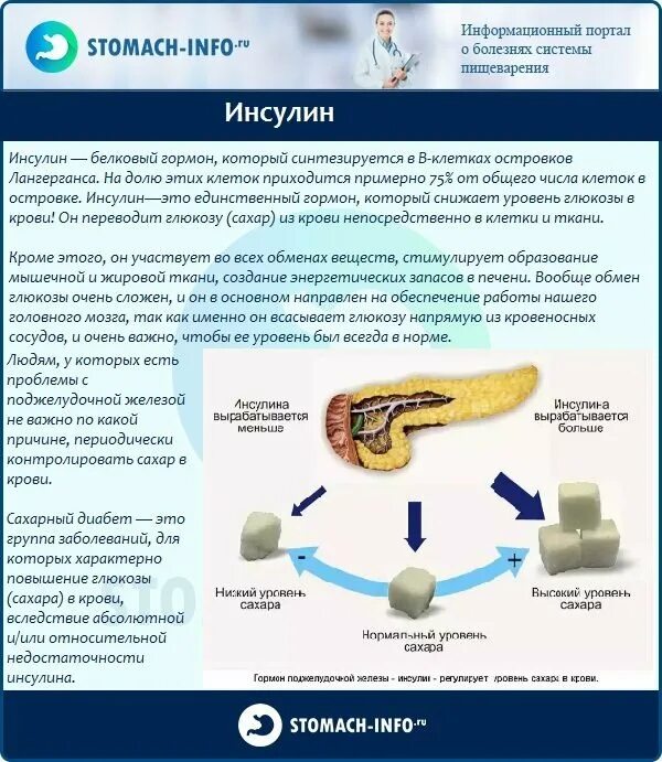 Почему высокий инсулин. Гормон поджелудочной железы инсулин снижает уровень сахара в крови. Поджелудочная железа инсулин сахар. Инсулин снижает уровень сахара в крови. Уровни Глюкозы и инсулина.