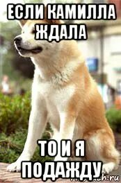 Подождать или подаждать
