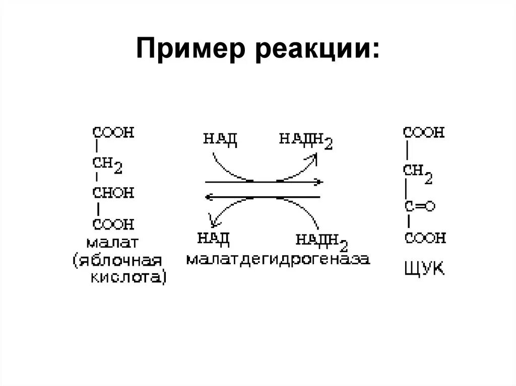 Фф скз реакции. Реакции с над. Пример реакции с участием над. Реакция над в НАДН. Реакции с участием над и НАДФ.