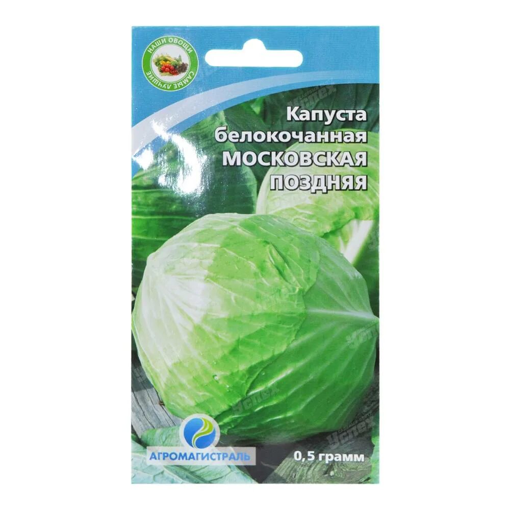 Капуста московская описание сорта отзывы. Капуста БК Московская поздняя 15. Семена капусты Московская поздняя. Капуста Московская семена. Московская капуста описание.