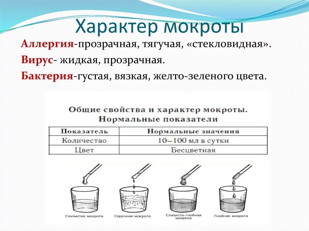 Мокрота определение. Классификация мокроты. Характер мокроты. Цвет и вид мокроты при бронхите.