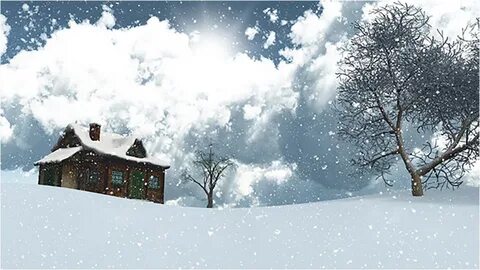 Snow snows read