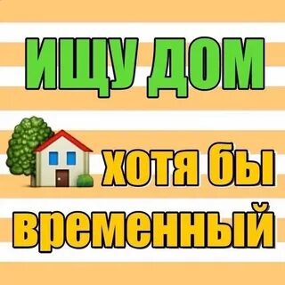Дом передержка