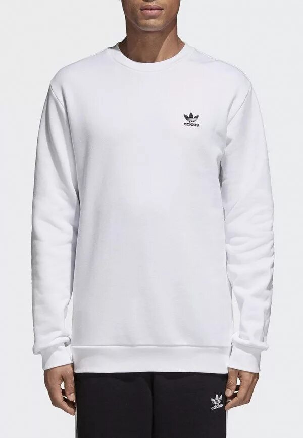 Белая толстовка адидас. Белый свитшот adidas originals essentials. adidas originals sweatshirt белый. худи адидас белый мужской ориджиналс. свитшот адидас ориджинал белый.