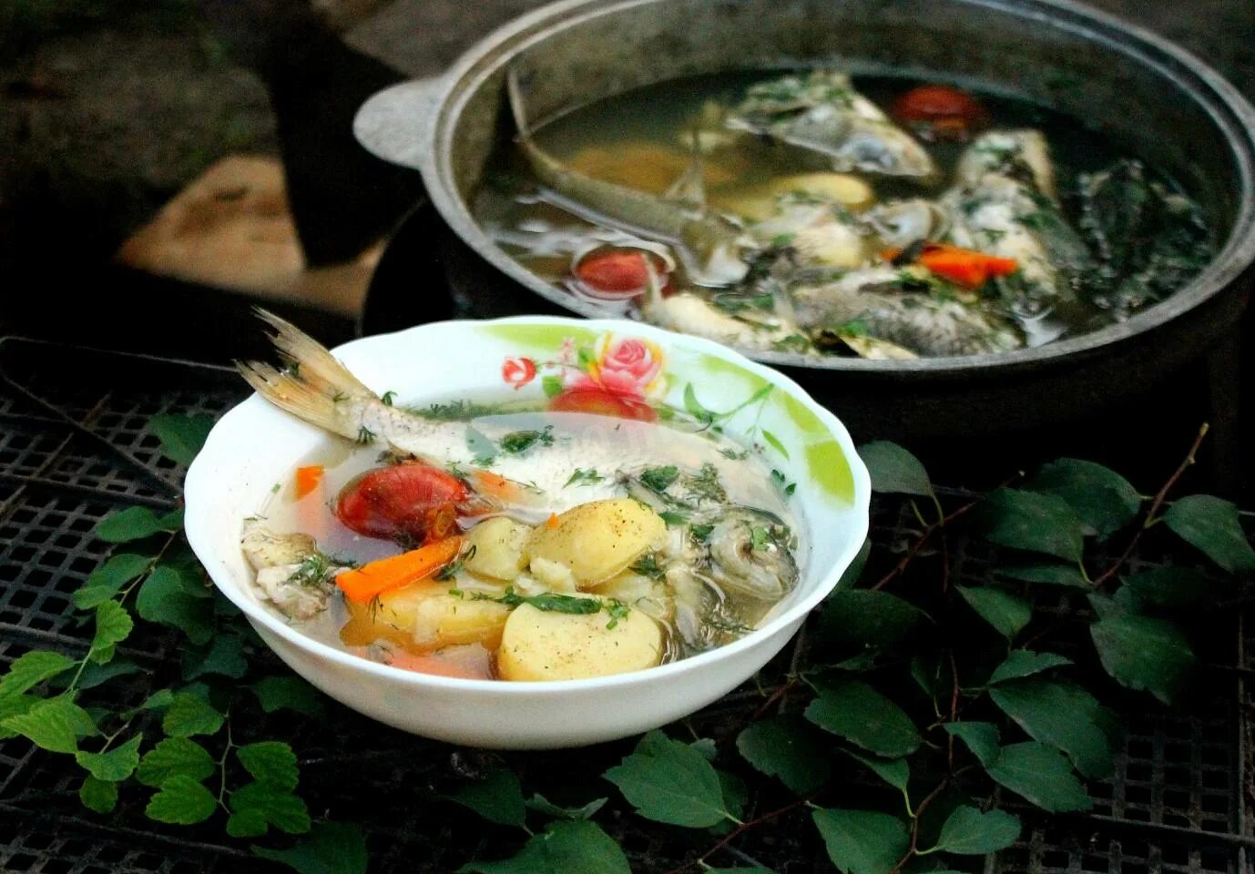 Как сварить уху из рыбы