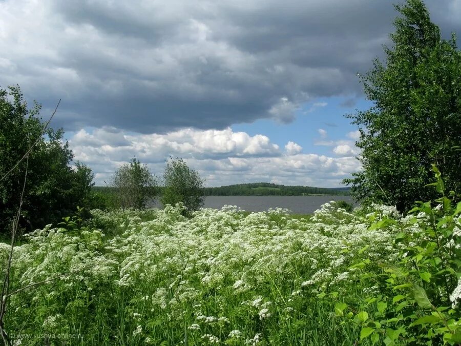 над землёй бушуют травы. над травой бушуют травы слушать. красивая природа небо. красивое небо. над травой бушуют травы слушать.