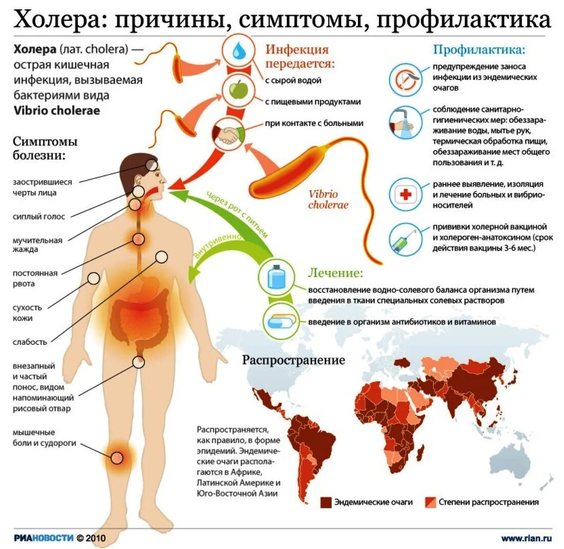 А также причиной заболевания. Острые кишечные инфекции холера. Меры профилактики холеры кратко. Холера симптомы причины болезни профилактика. Симптомы и формы холеры у человека.