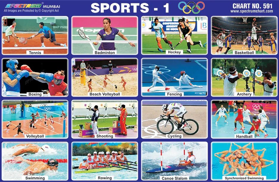 Which of these sports are indoor. Виды спорта. Современные виды спорта. Летние виды спорта. Игровые виды спорта.