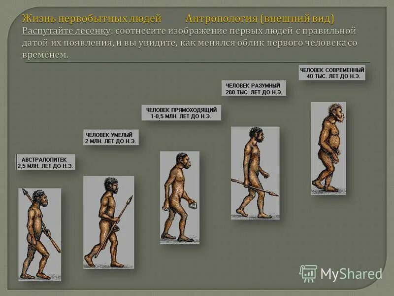 неандертальцы зденека буриана. жизнь первобытных людей. этапы эволюции хомо сапиенс. презентация на тему первобытные люди. установи последовательность развития жизни первобытного человека.