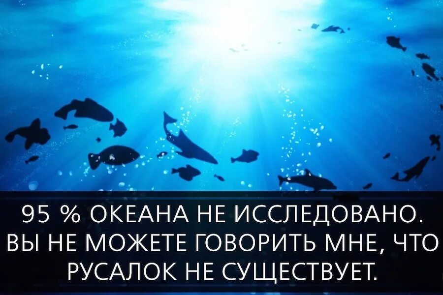 Океан изучен. На сколько исследован океан. Океан исследован на 5 процентов. Мировой океан изучен на 2 процента.