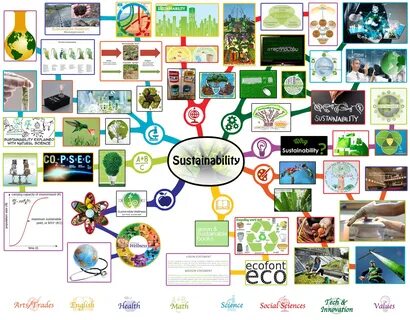 Environment activities