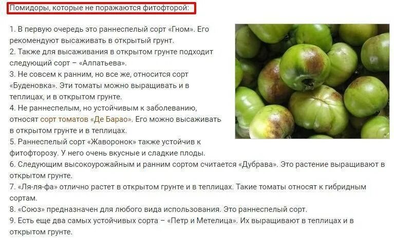 Томат сорт это что значит. Таблица сортов томатов. сорта помидоров названия. сорта помидоров по высоте таблица. помидоры растут.