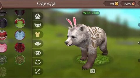 Вет вилд