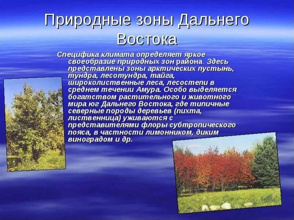 Природные условия дальнего востока россии. Смешанный лес дальнего Востока климат. Природные зоны дальнего Востока. Природные зоны дальнего Востока России. Пр родная зона дальнего Востока.