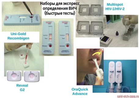Экспресс тест ифа