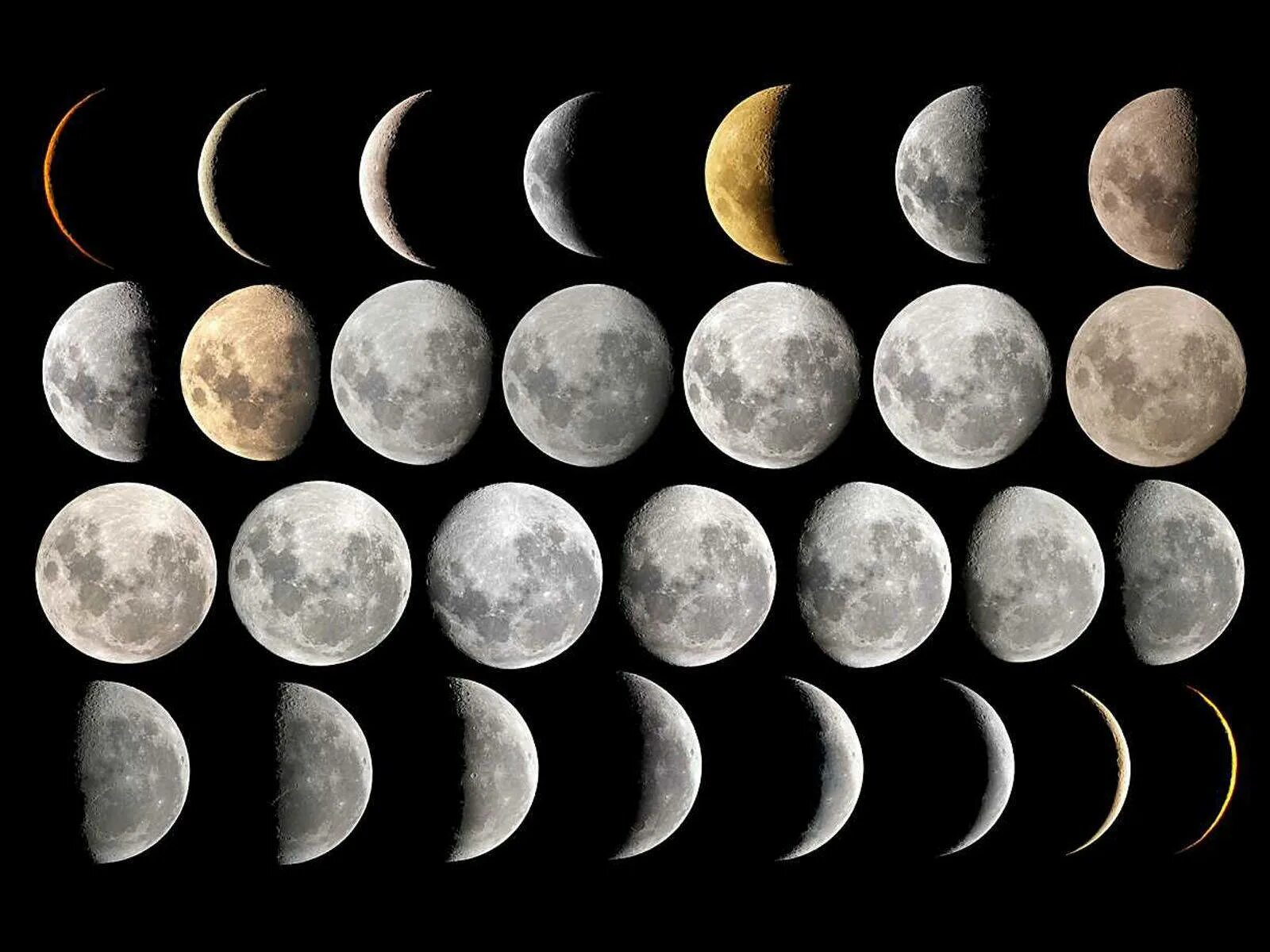 Moon correct moon. Луна. Изображение Луны. Фазы Луны. Убывающая Луна.