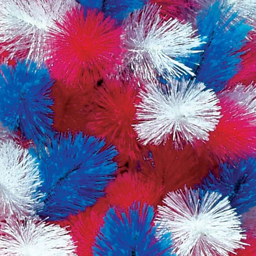 красный попугай. синеухий красный лори. сине красный фото. красный и синий. красный и синий.