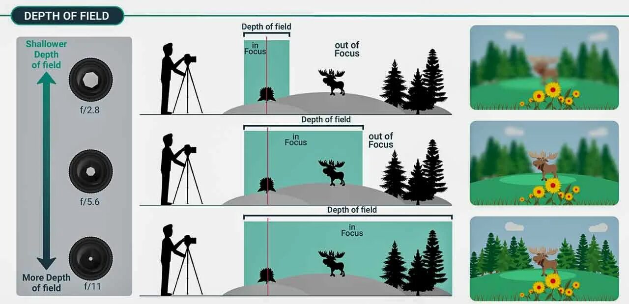 Глубина резкости схема. Глубина резкости изображаемого пространства. Глубина резкости (depth of field). Глубина резкости объектива. Глубина резкости в мире нет