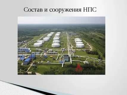 Что значит нпс