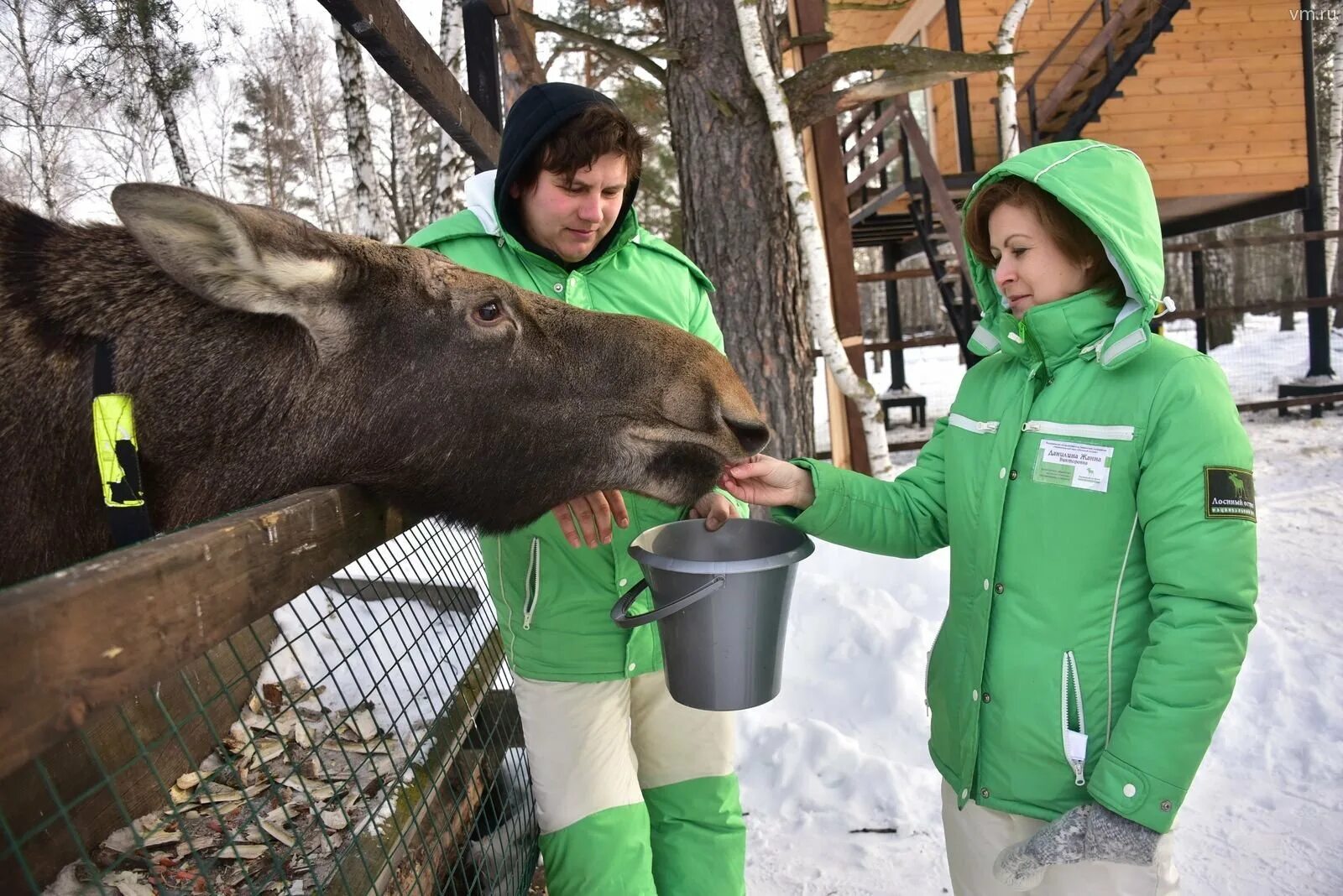 Лосиная биостанция Лосиный остров. Парк Лосиный остров биостанция. Лосиный остров национальный парк Москва. Национальный парк Лосиный остров биостанция.