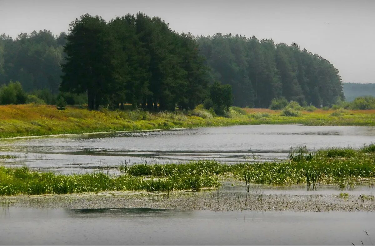 Река уводь. Речка Уводь. Уводь Иваново. Уводь берега Иванова. Город Иваново река Уводь.