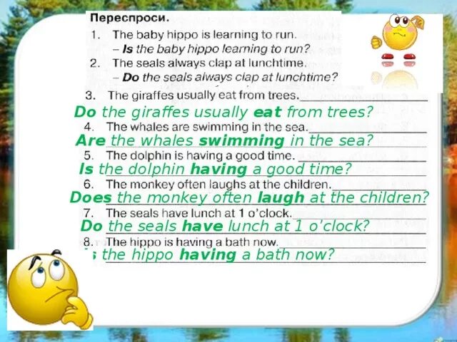 Are you having a good time перевод. The Giraffes usually eat from Trees переспроси. Переспроси английский язык 4 класс. Переспроси the Baby Hippo is. Переспроси the Baby Hippo is Learning to Run.