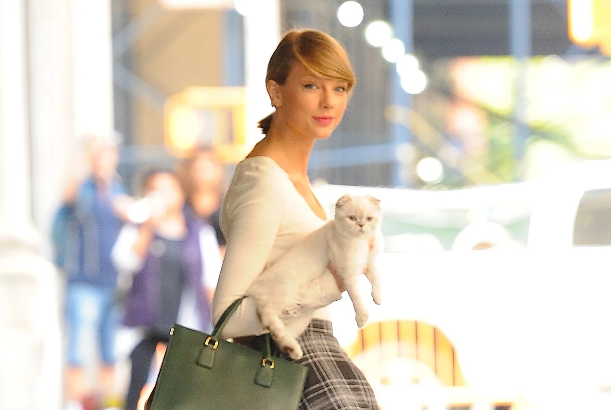 Swift cat. Тейлор свифт cats. тейлор свифт бенджамин баттон. оливия тейлор свифт. бомбалурина тейлор свифт.