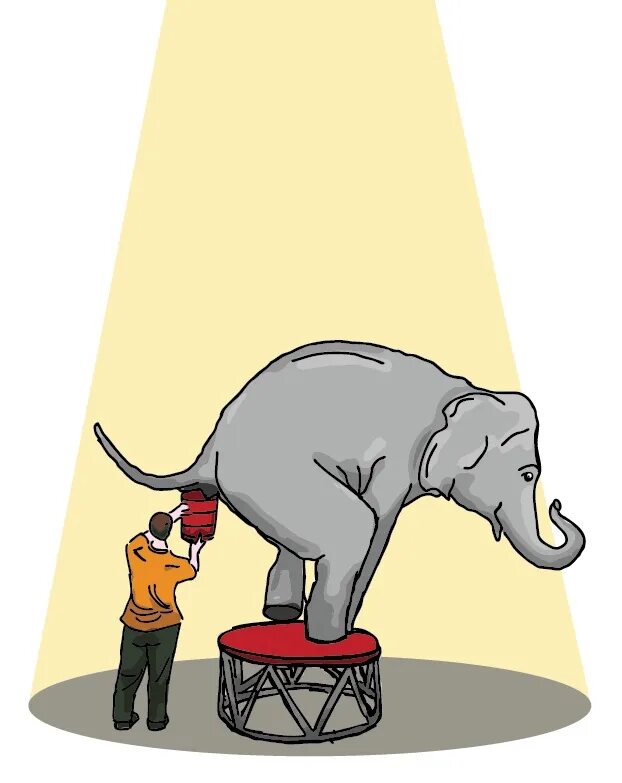 Включи сумасшедший слоник вытирает. Стив Коннер слон. Слон цирковой иллюстрация. Слон с бутылкой. Слоник в цирке.