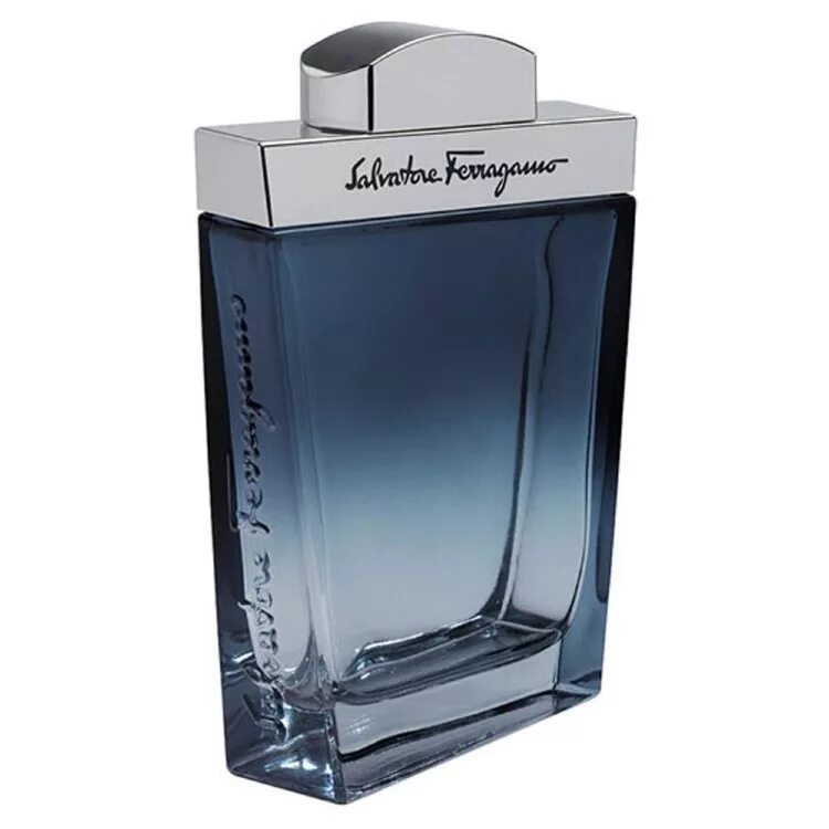 Ferragamo Salvatore men Tester 100ml EDT. Salvatore Ferragamo Subtil pour homme EDT (100 мл). Salvatore Ferragamo 100ml EDT homme. Туалетная вода Salvatore Ferragamo Subtil pour homme, 50 мл. Цена духов ferragamo мужские