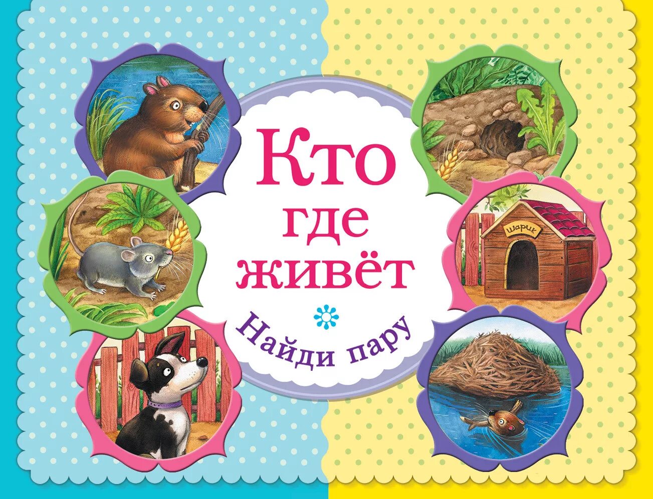 Цель игры кто где живет. Кто где живет. Игра "кто где живет?". Кто где ЖИВЁТДИДАКТИЧЕСКАЯ игра. Дидактическая игра кто где живет.