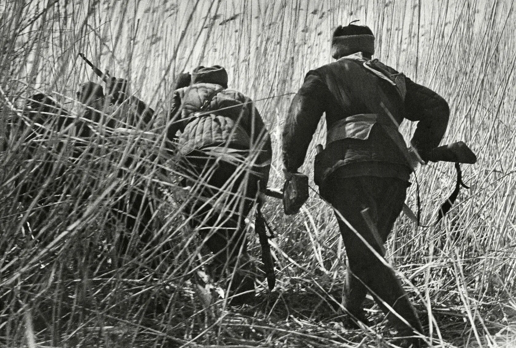 Вторая мировая отряд. Партизанское движение 1941-1945. Партизаны 1941 года.