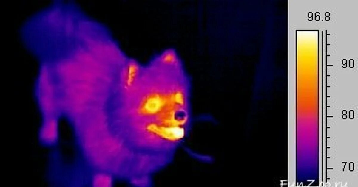 Infrared тепловизор. Тепловизор Thermal Imager. Инфракрасное излучение термография. Тепловизор диапазон до 500 градусов. Тепловизор цвета