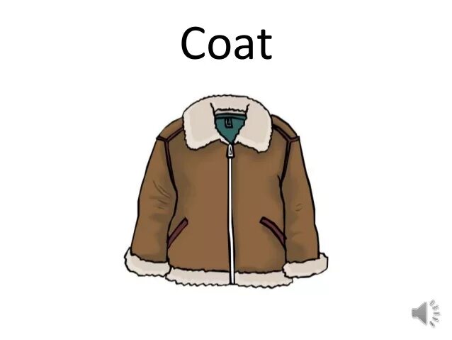 Одежда карточки для дошкольников. Пальто карточки для детей. A coat карточка. Слово coat. Coat на английском.