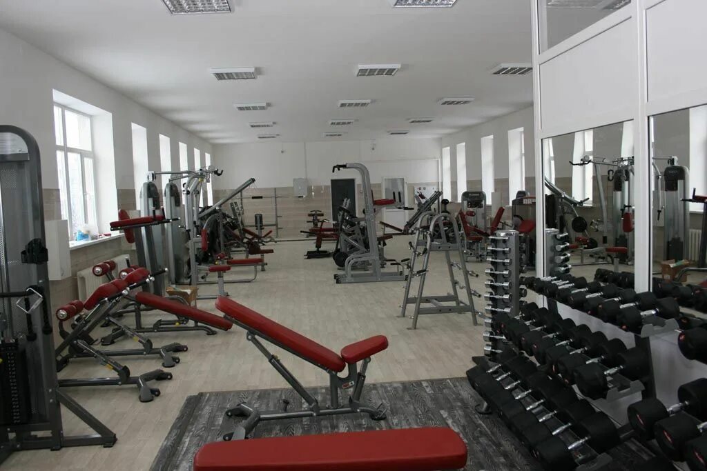 Девочки в качалке. Алушта крымский спорткомплекс тренажерный зал. Качалка чебоксары. Качалка чебоксары соколова. Лошадка качалка чебоксары.