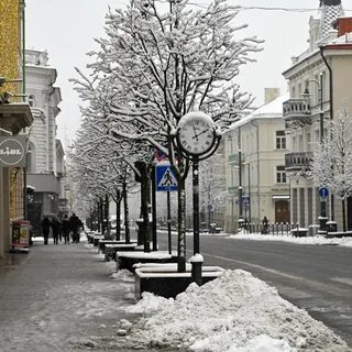 Декабрь в литве
