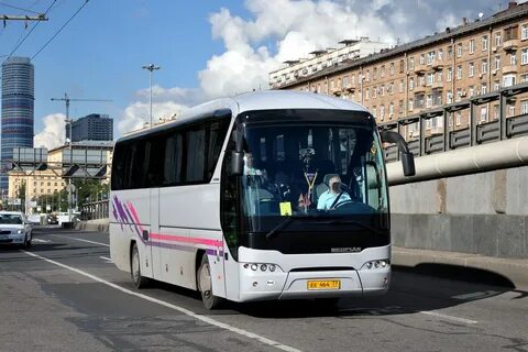 234 автобус спб