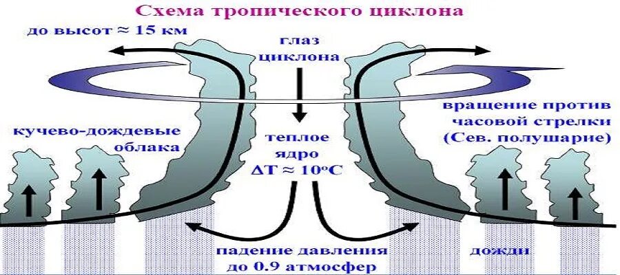 Схема тайфуна. Строение тропического циклона. Структура тропического циклона. Формирование тропических циклонов. Тропический циклон схема.