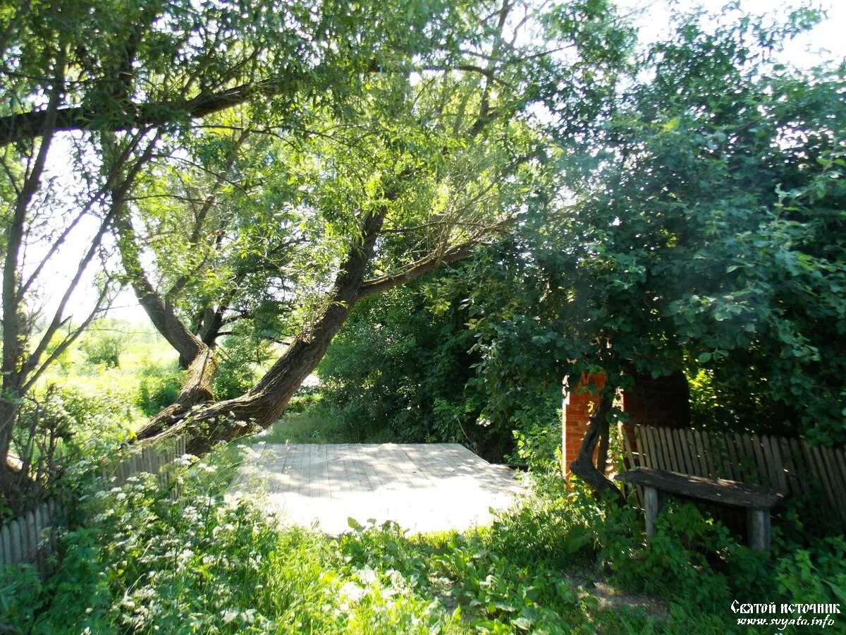 Церковь криница острогожск. Церковь троицы живоначальной (криница). Село криница воронежская область. Криница острогожского. Церковь троицы живоначальной воронеж.