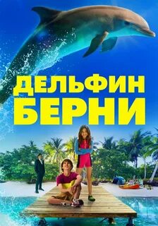Дельфин берни