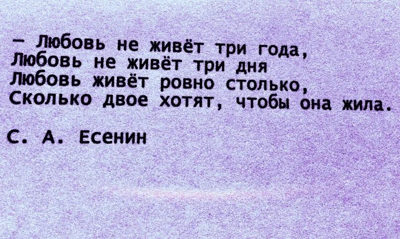 Сколько про любовь. Любовь живёт три года стих. Стих любовь не живёт три года. Любовь живёт три года цитаты. Любовь не живёт три года любовь не живёт три.