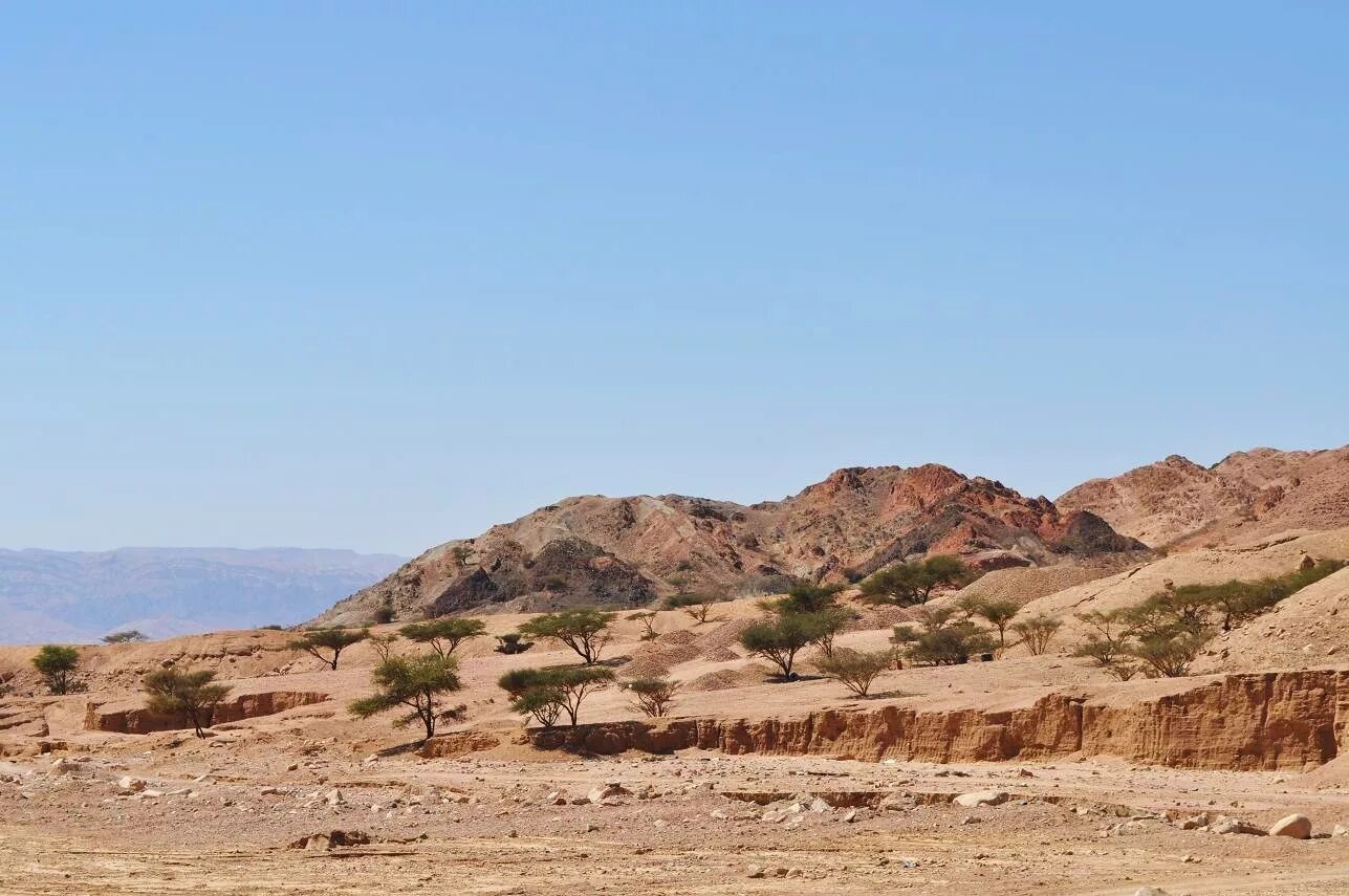 Dry area. засуха саладо аргентина. опустынивание африки. почва коричневая. опустынивание калифорния.