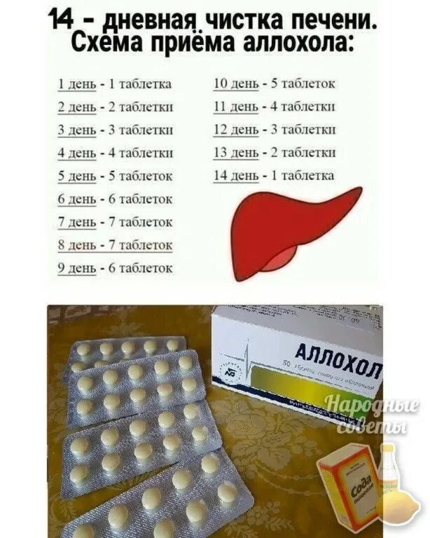 Отзывы очистки печени. Для очистки печени. Таблетки от чистки печени. Очистка печени аллохолом схема.