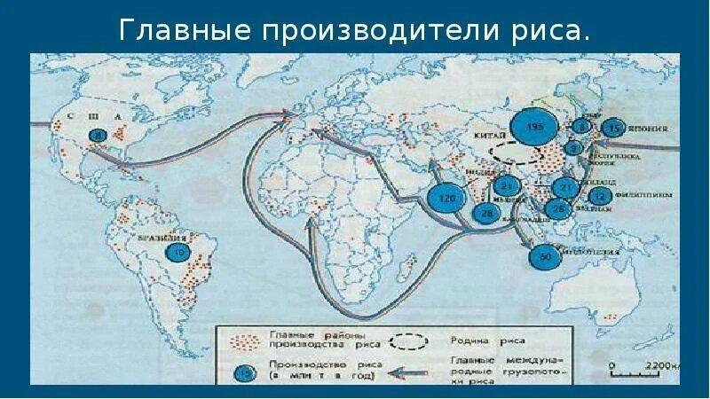 Страны поставщики риса. Страны лидеры производства риса. Основные районы выращивания пшеницы кукурузы риса в мире. Сельскохозяйственная продукция рис страны. Главные районы производства кукурузы в мире карта.