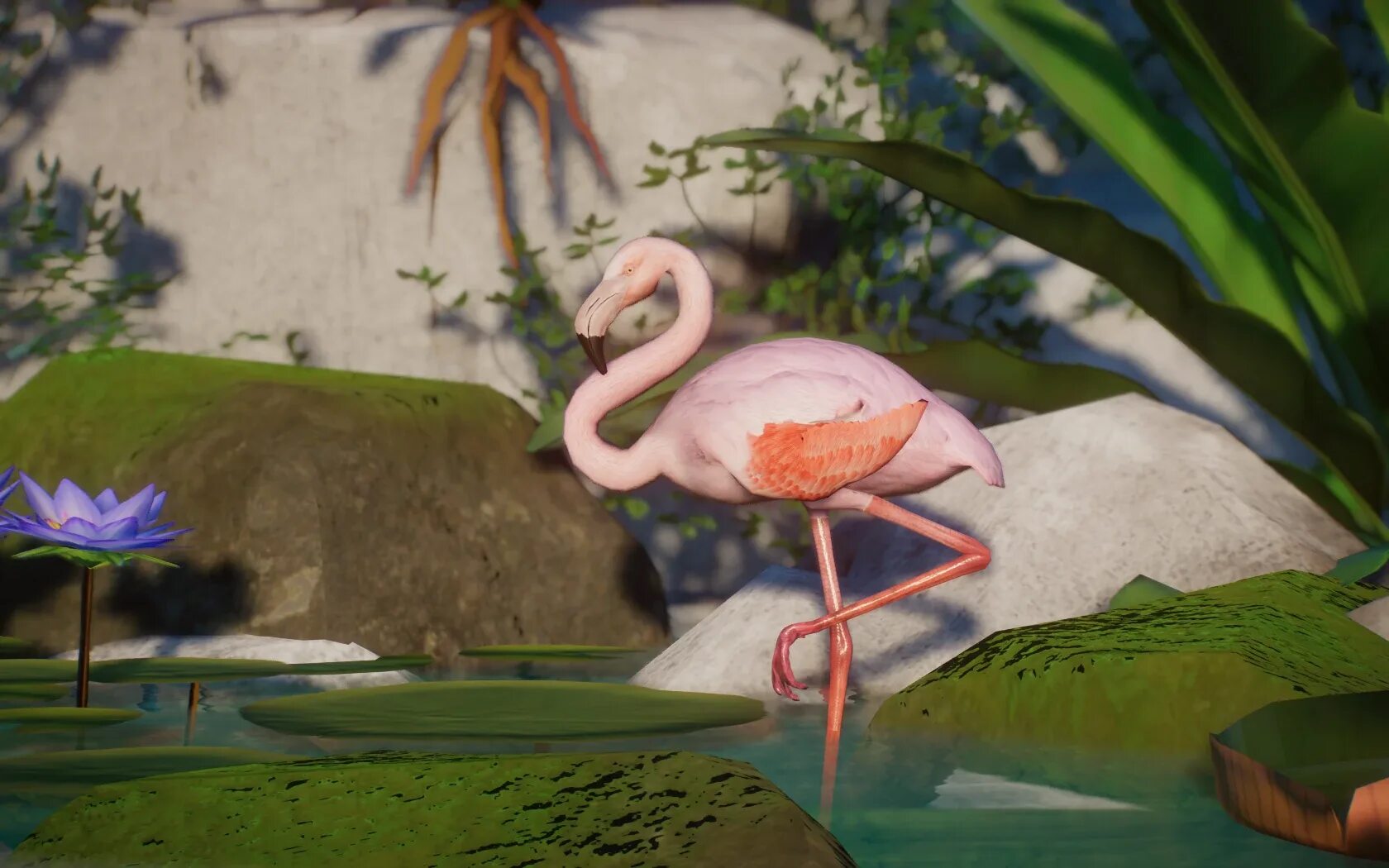В каком мультфильме есть фламинго. Фламинго монстр. диорама фламинго. planet zoo flamingo. вольер с фламинго planet zoo.