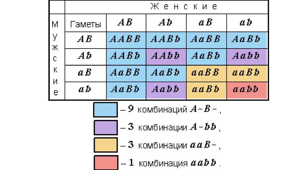 Сколько типов гамет образуется с генотипом aabb